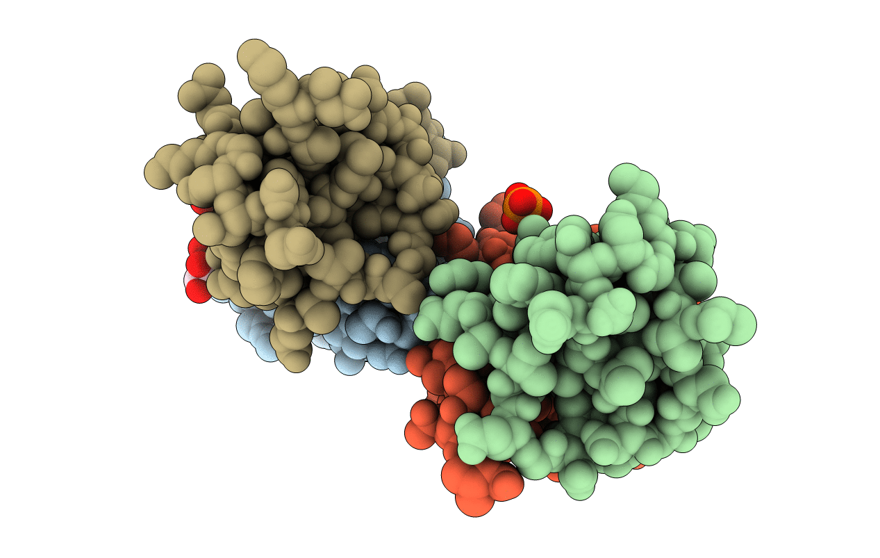 5T8R image