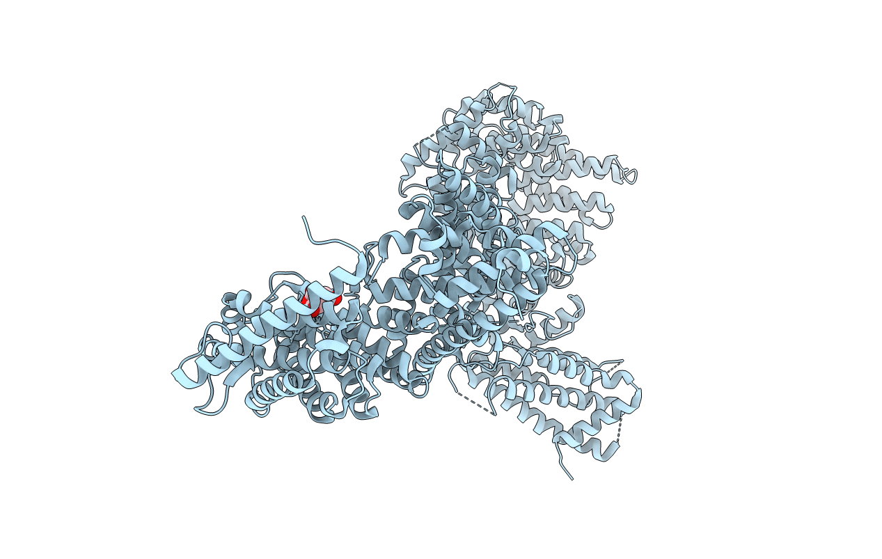5T8V image