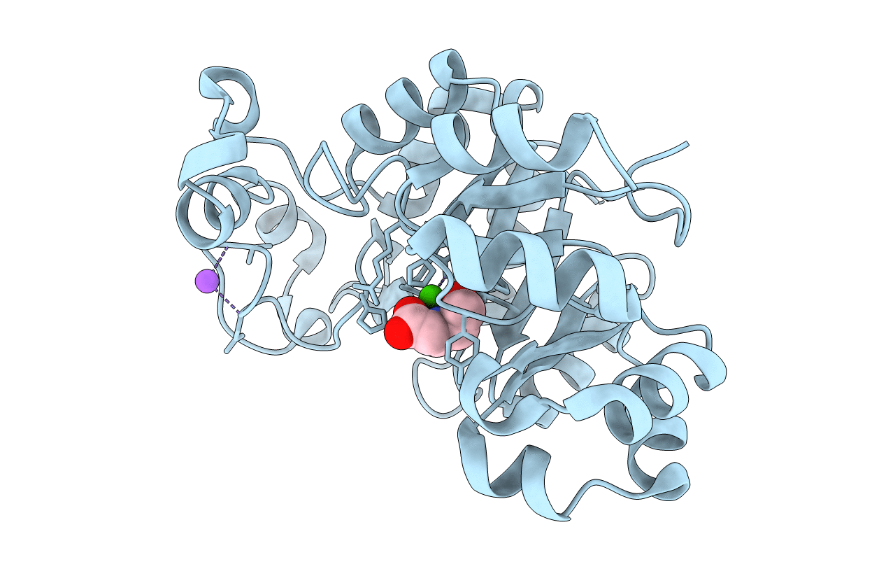 5T91 image