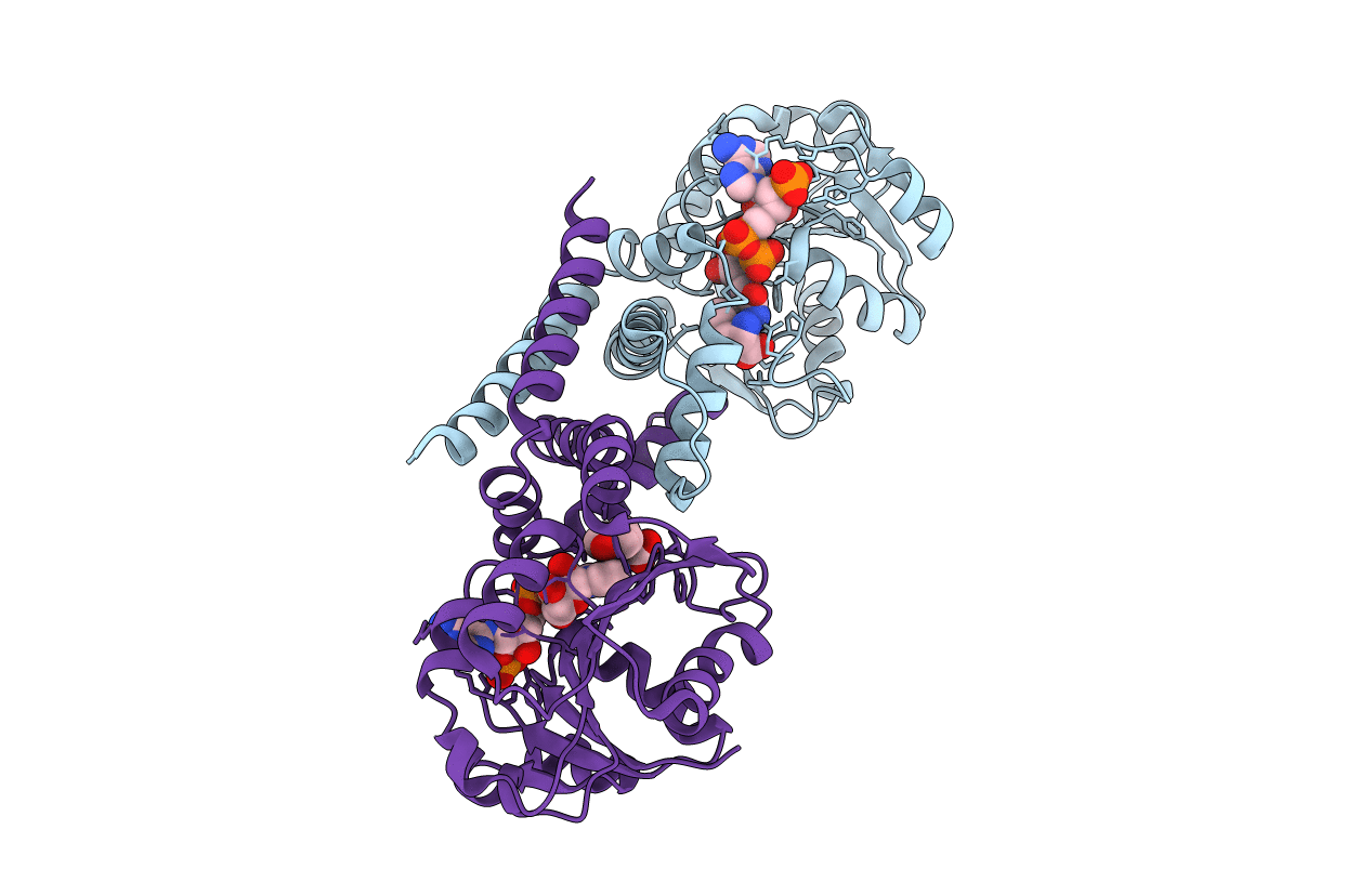 5T95 image