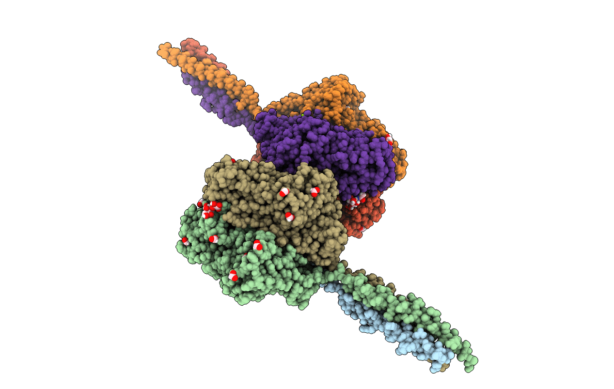 5T96 image