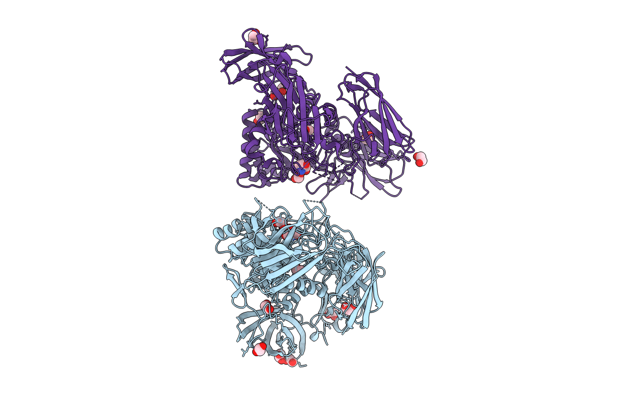 5T98 image