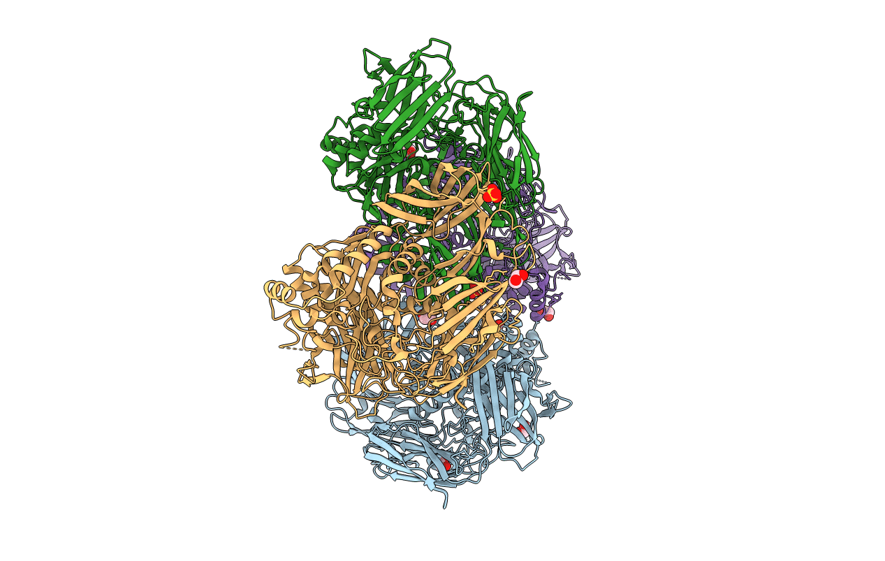 5T9A image