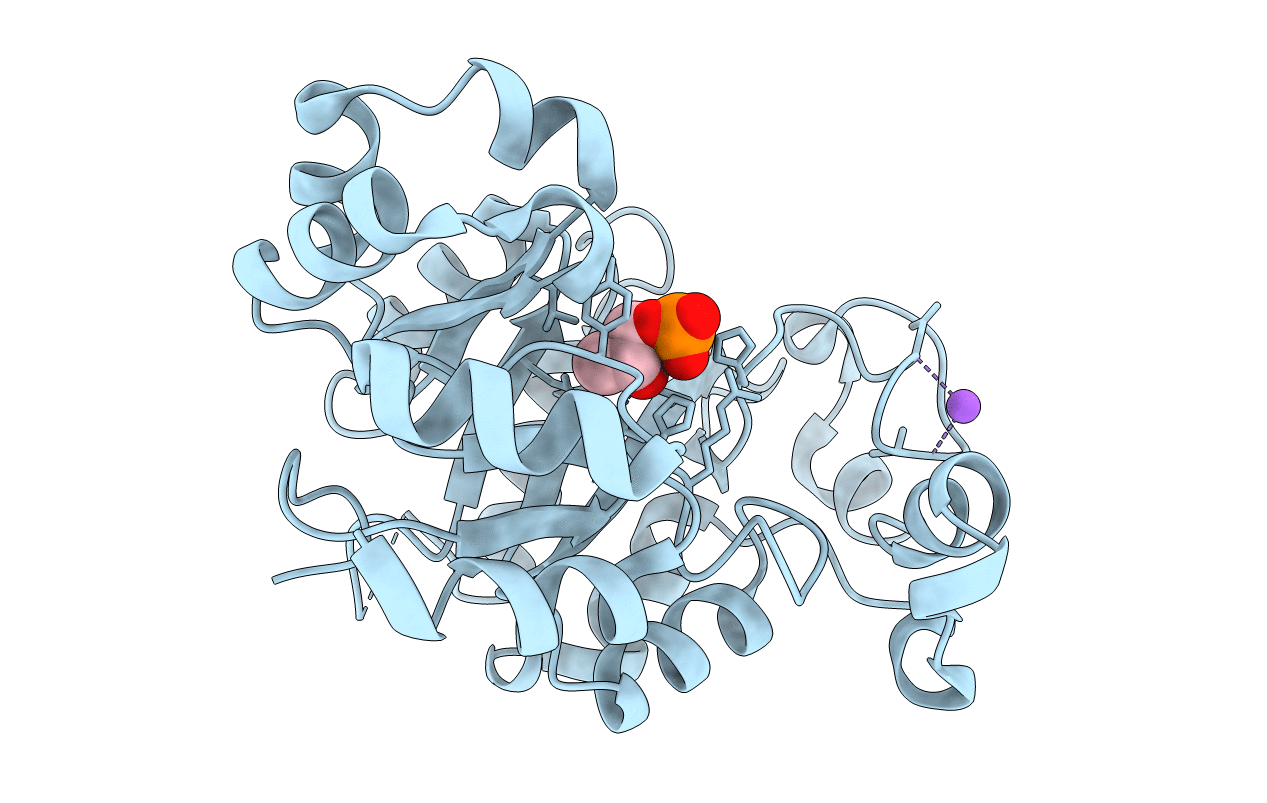 5T9B image