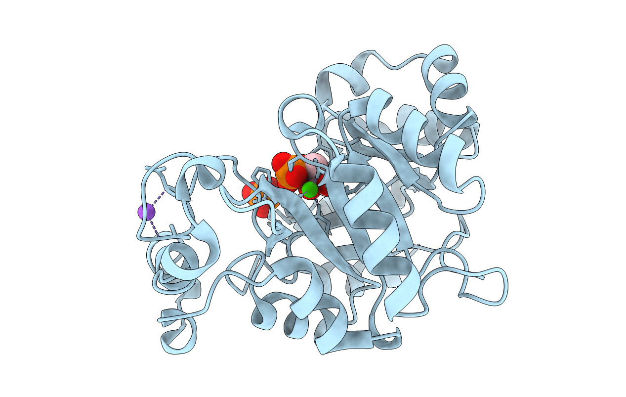 5T9C image