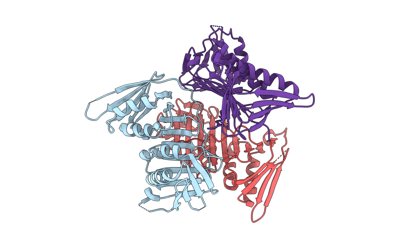 5T9D image