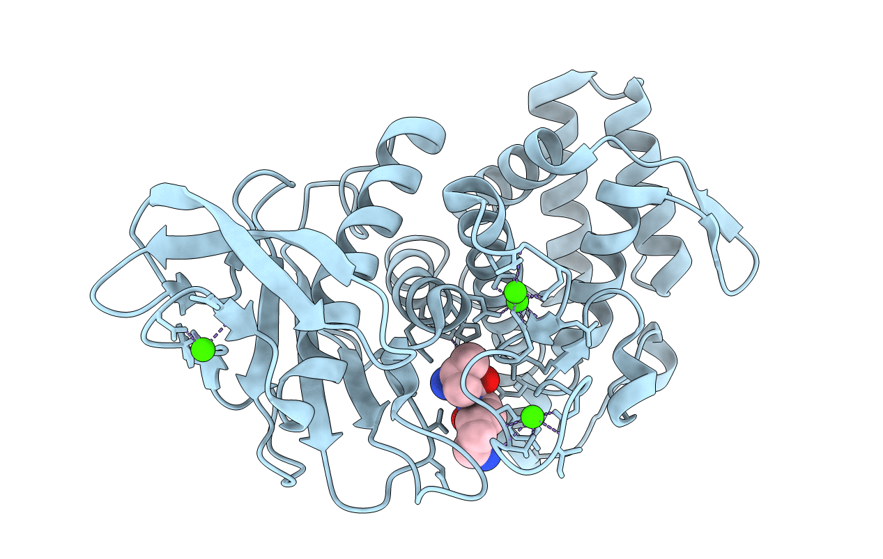5T9K image