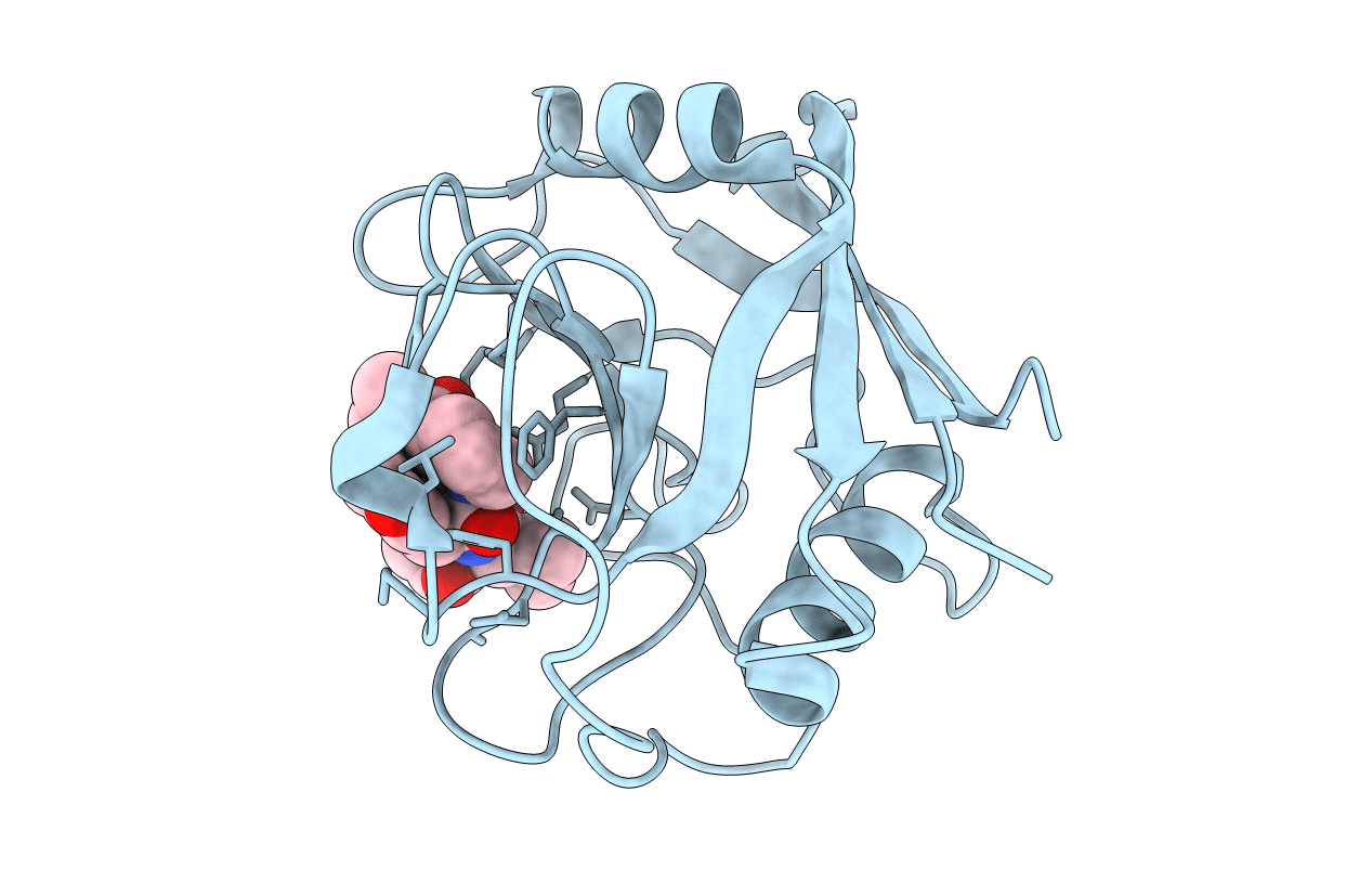 5T9W image