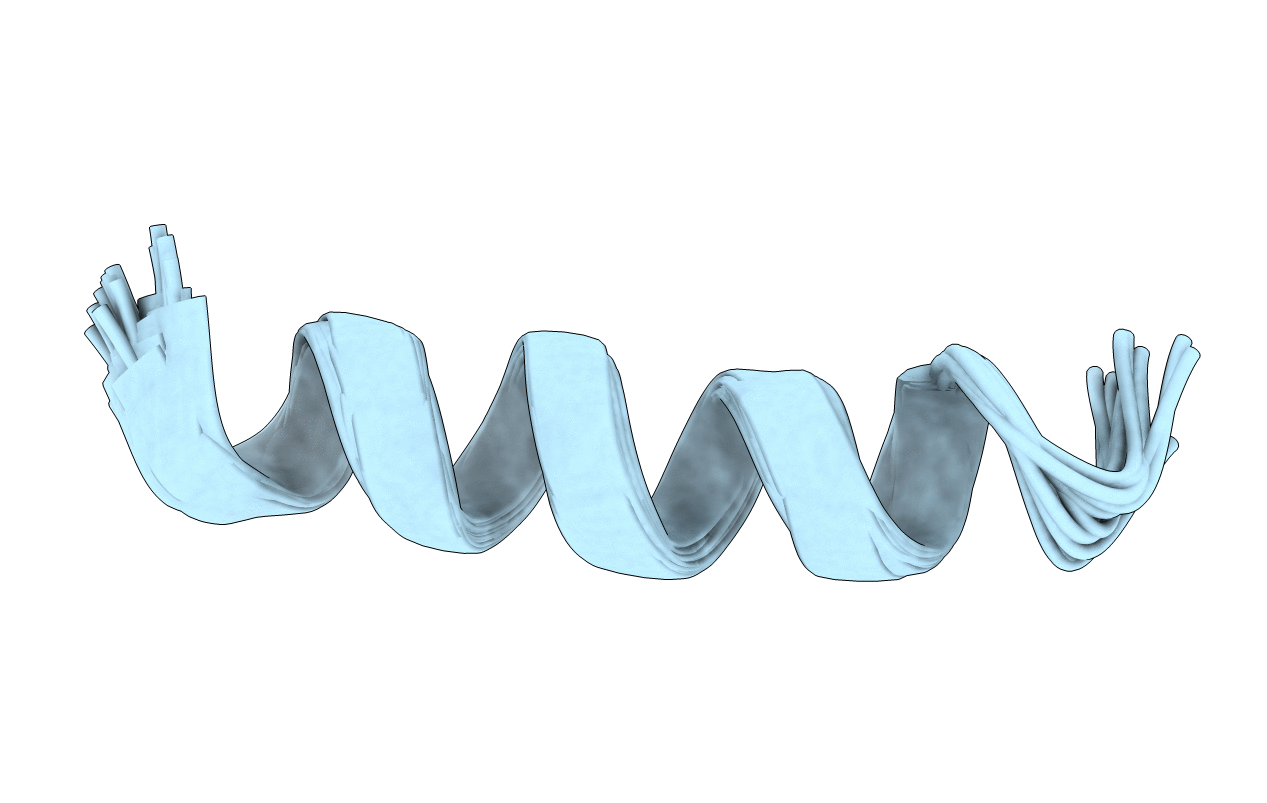 5TBQ image