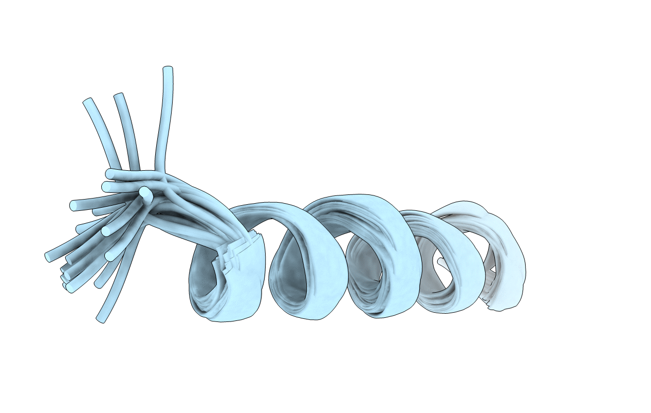 5TBR image