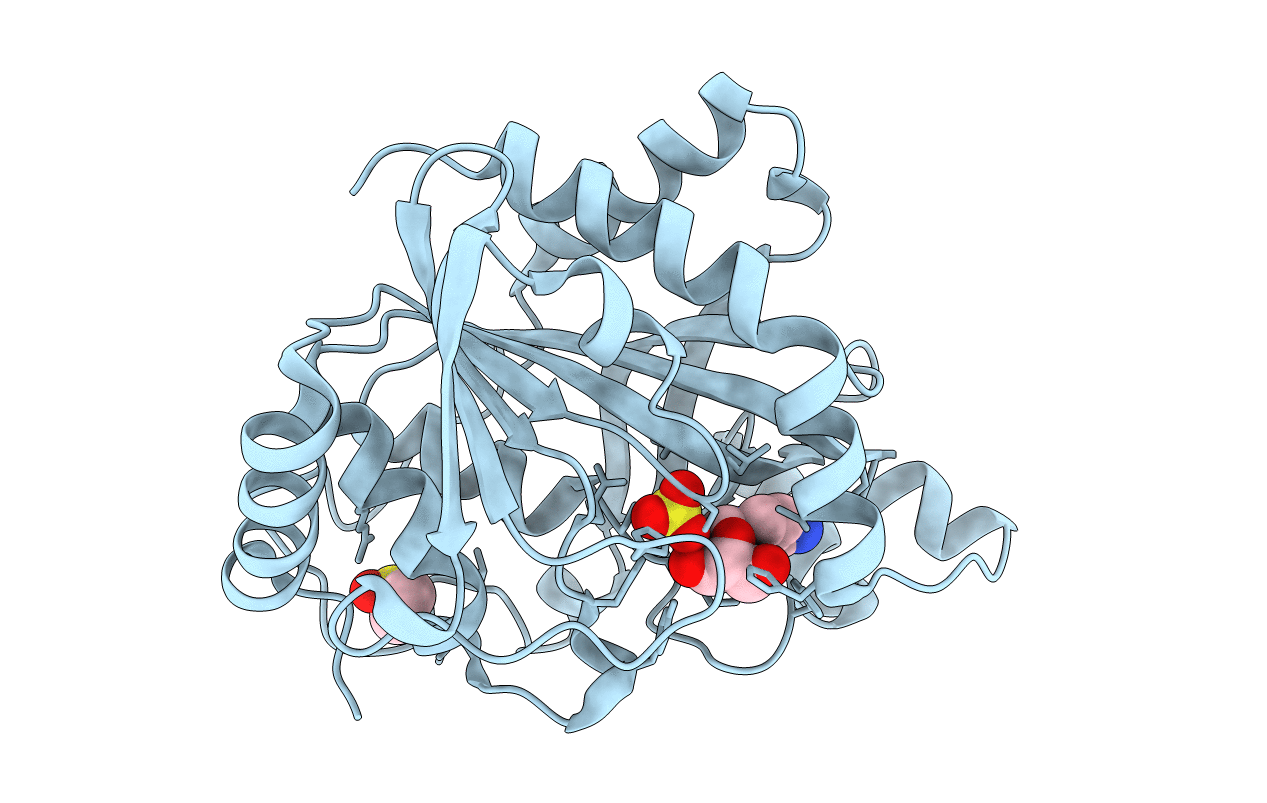5TBV image