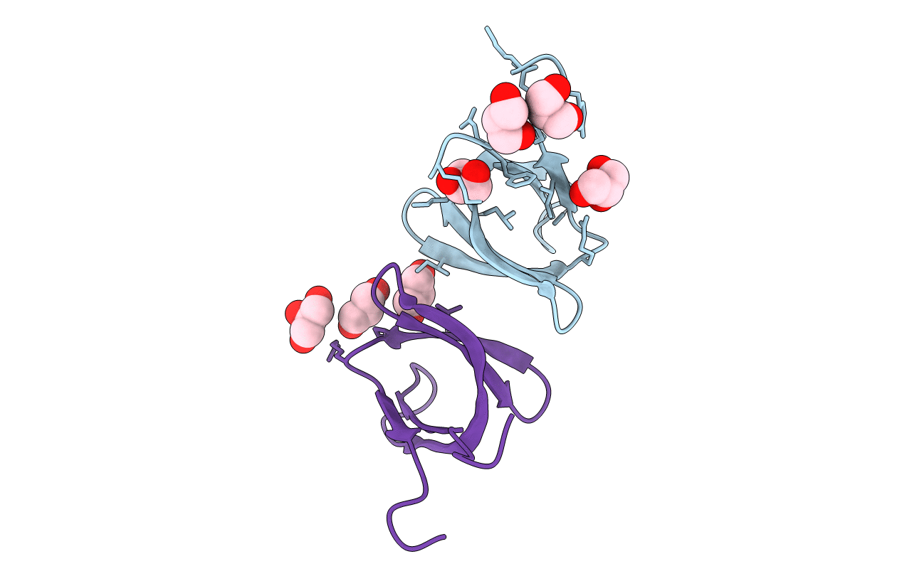 5TC2 image