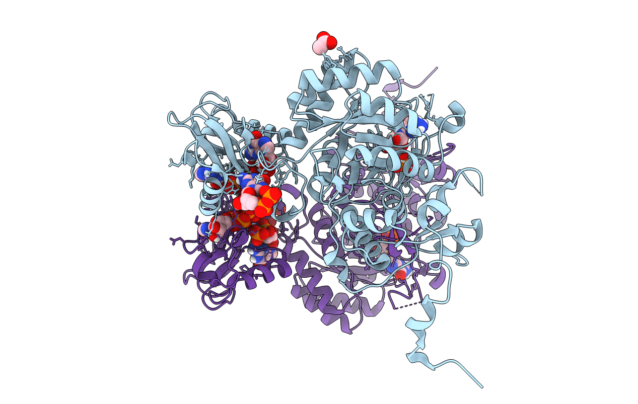 5TC3 image