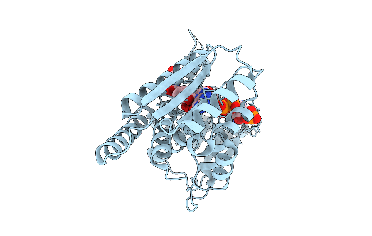 5TC4 image