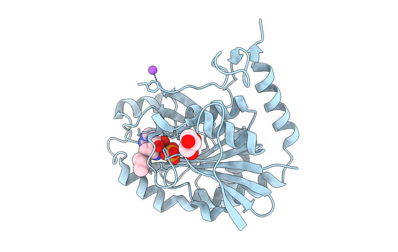 5TC6 image