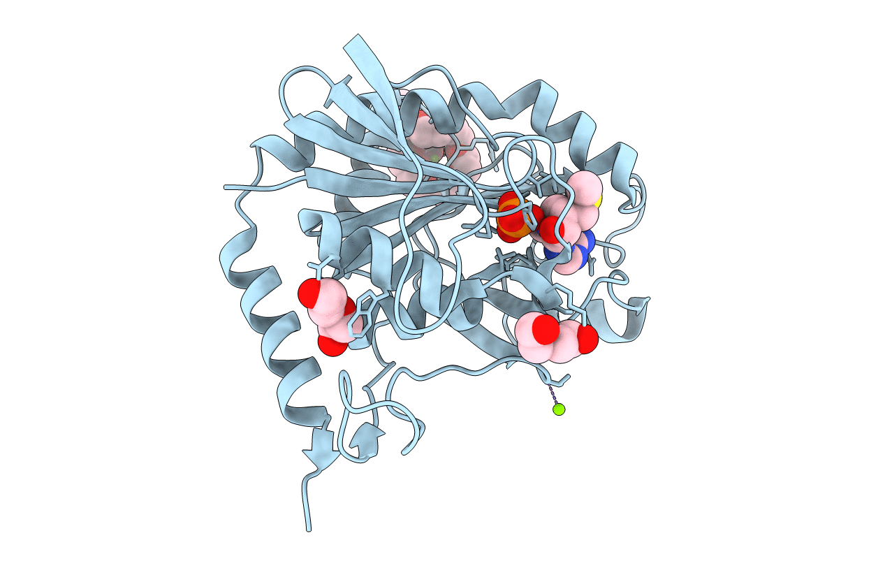 5TC8 image