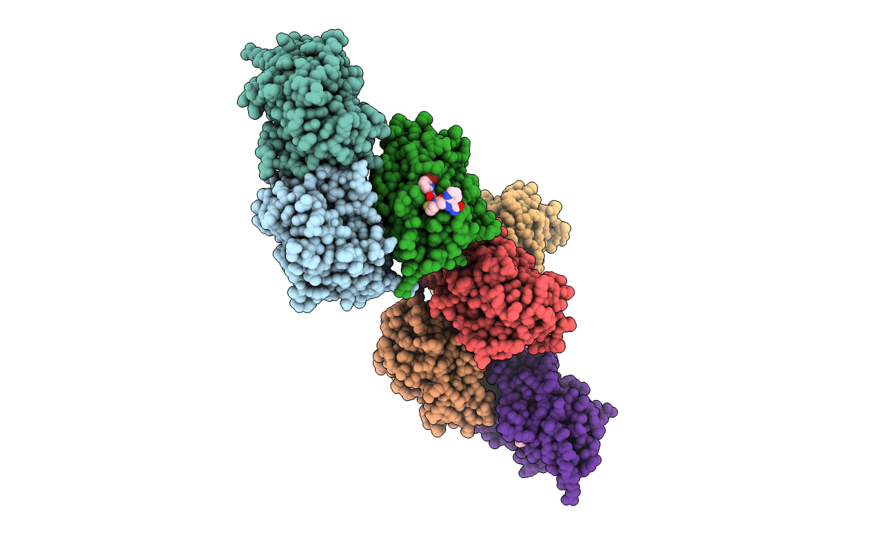 5TCA image