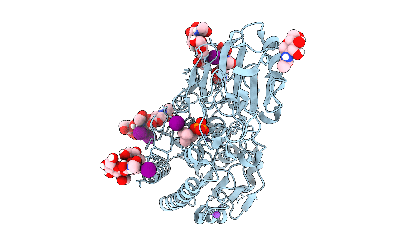5TCD image