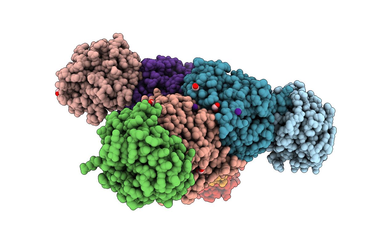 5TCJ image