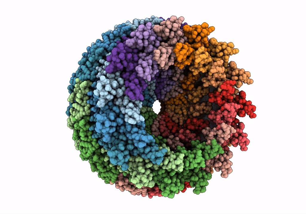5TCQ image