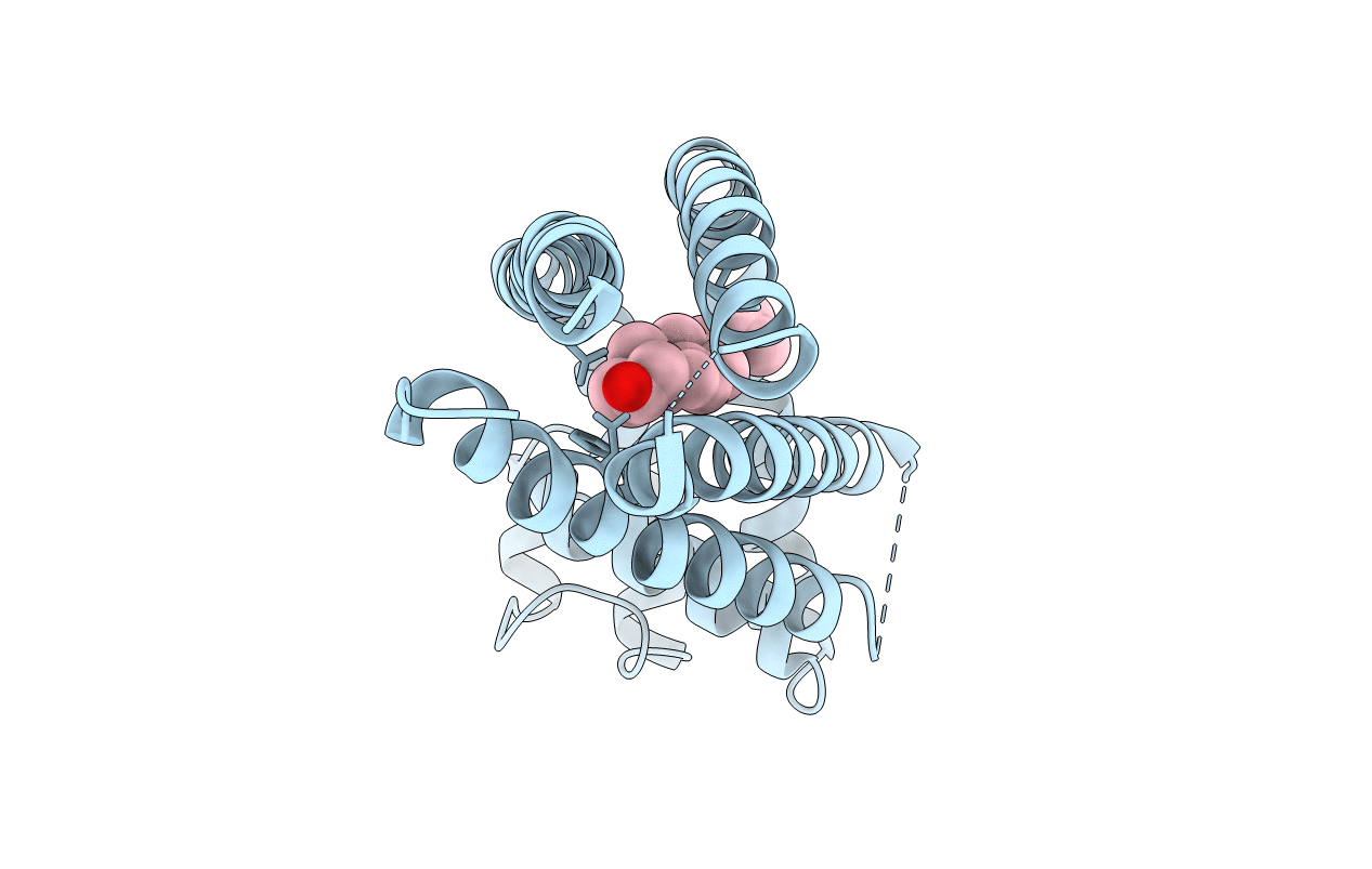5TCX image