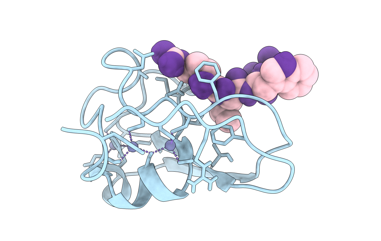 5TDA image