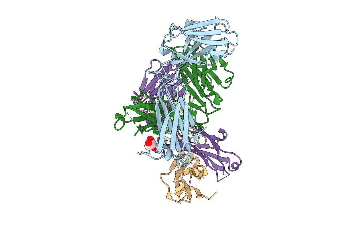 5TDP image