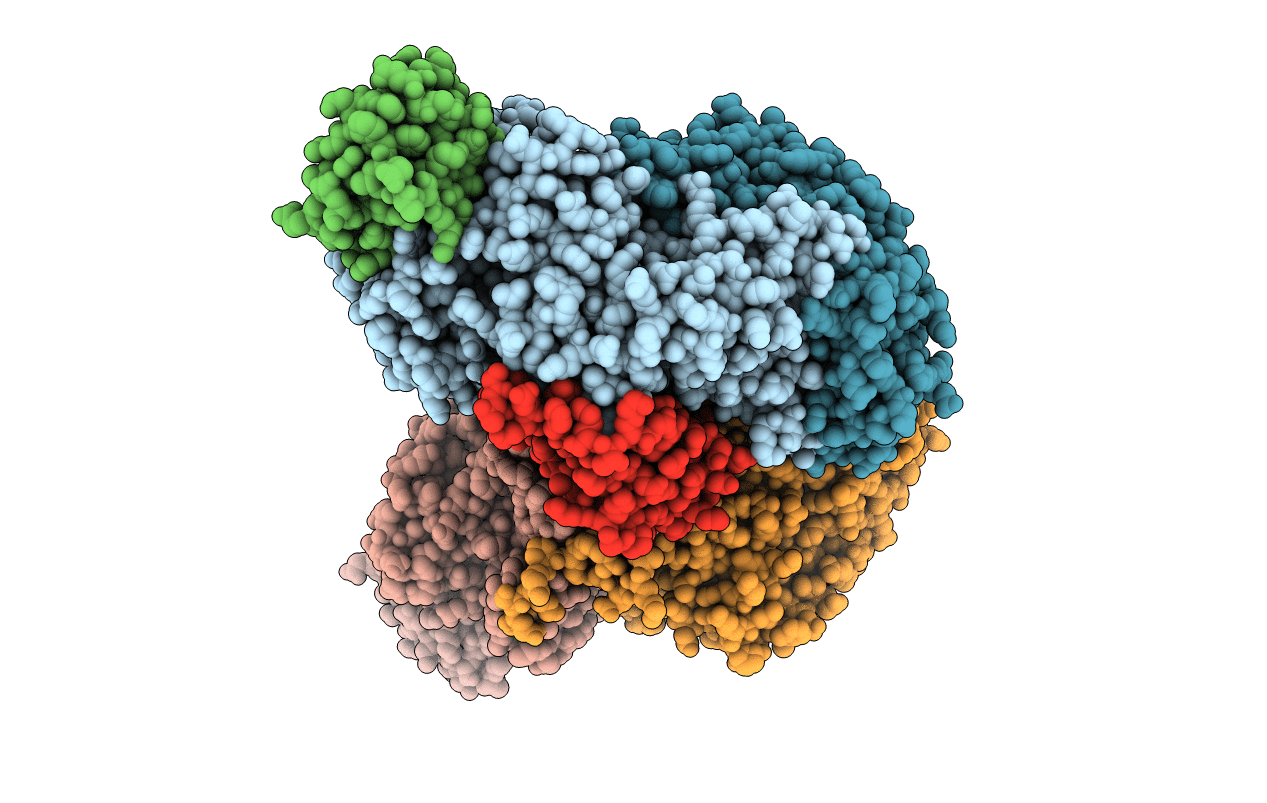 5TDT image