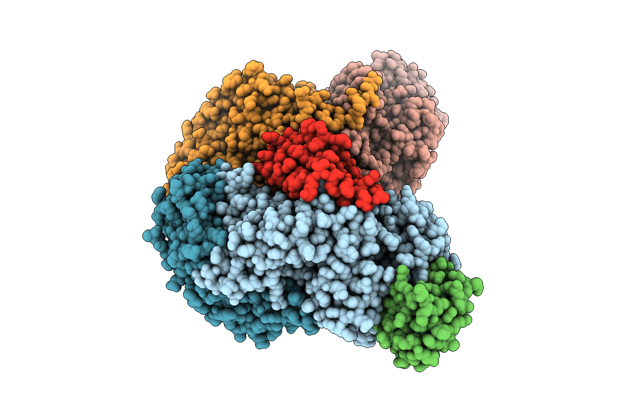 5TDV image