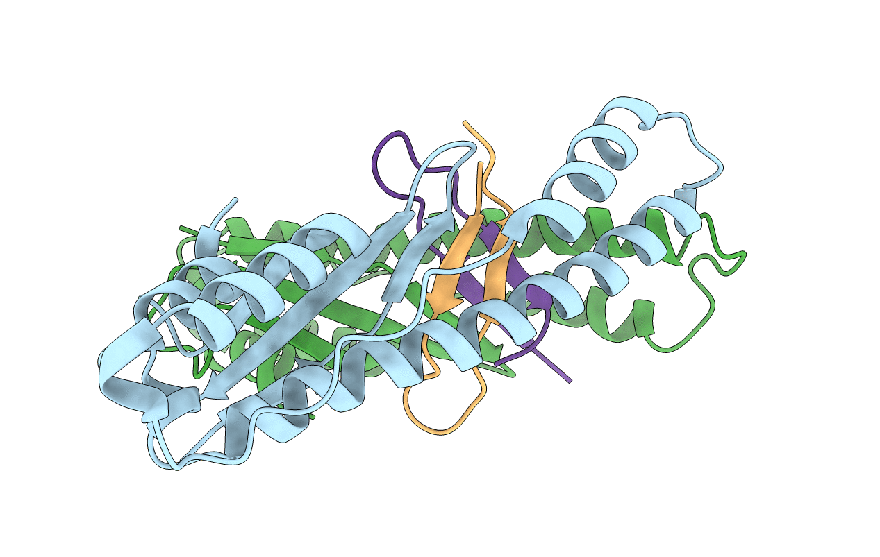 5TGI image