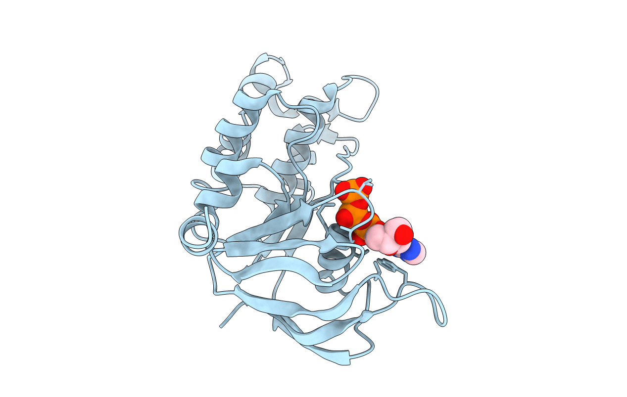 5TGK image