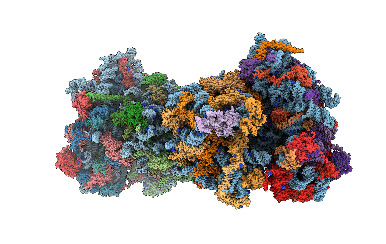 5TGM image