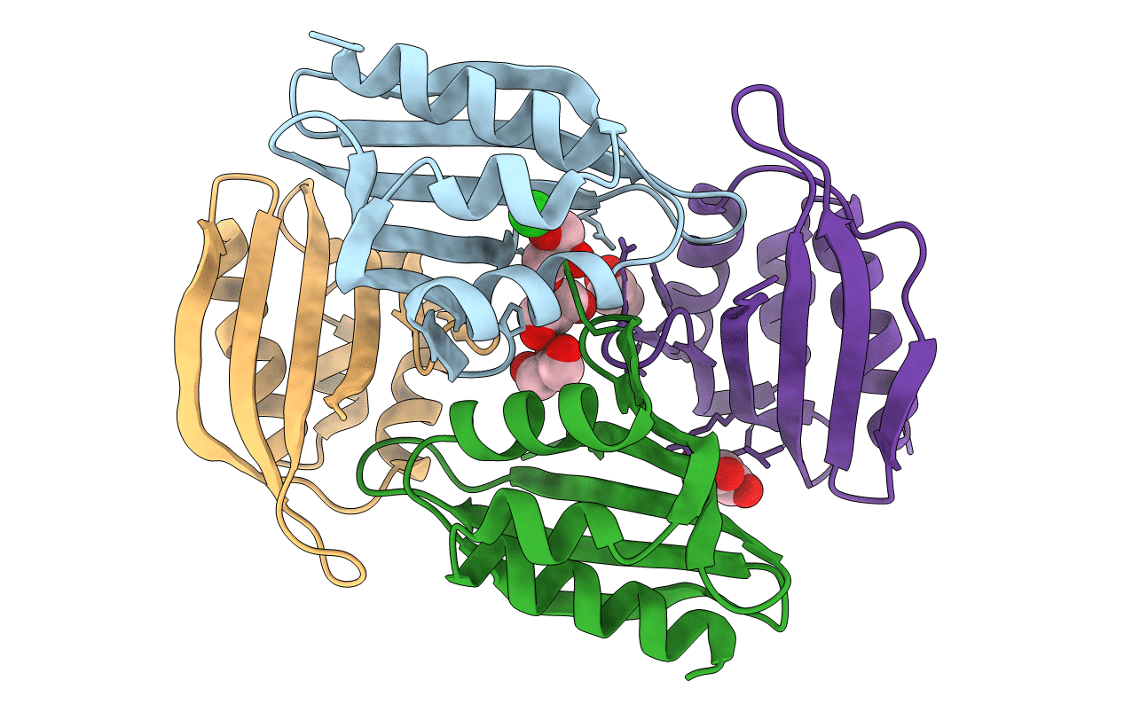 5TGN image