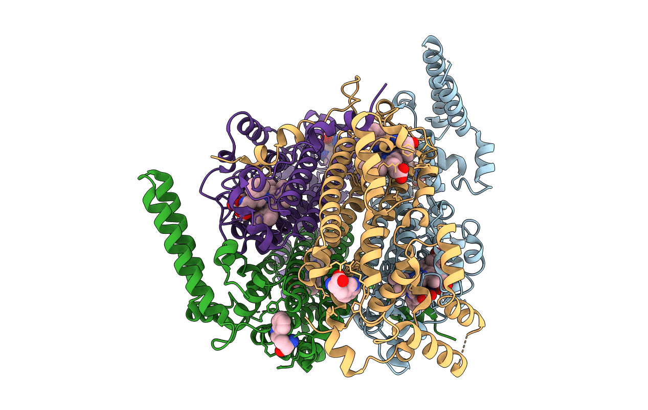 5TIA image