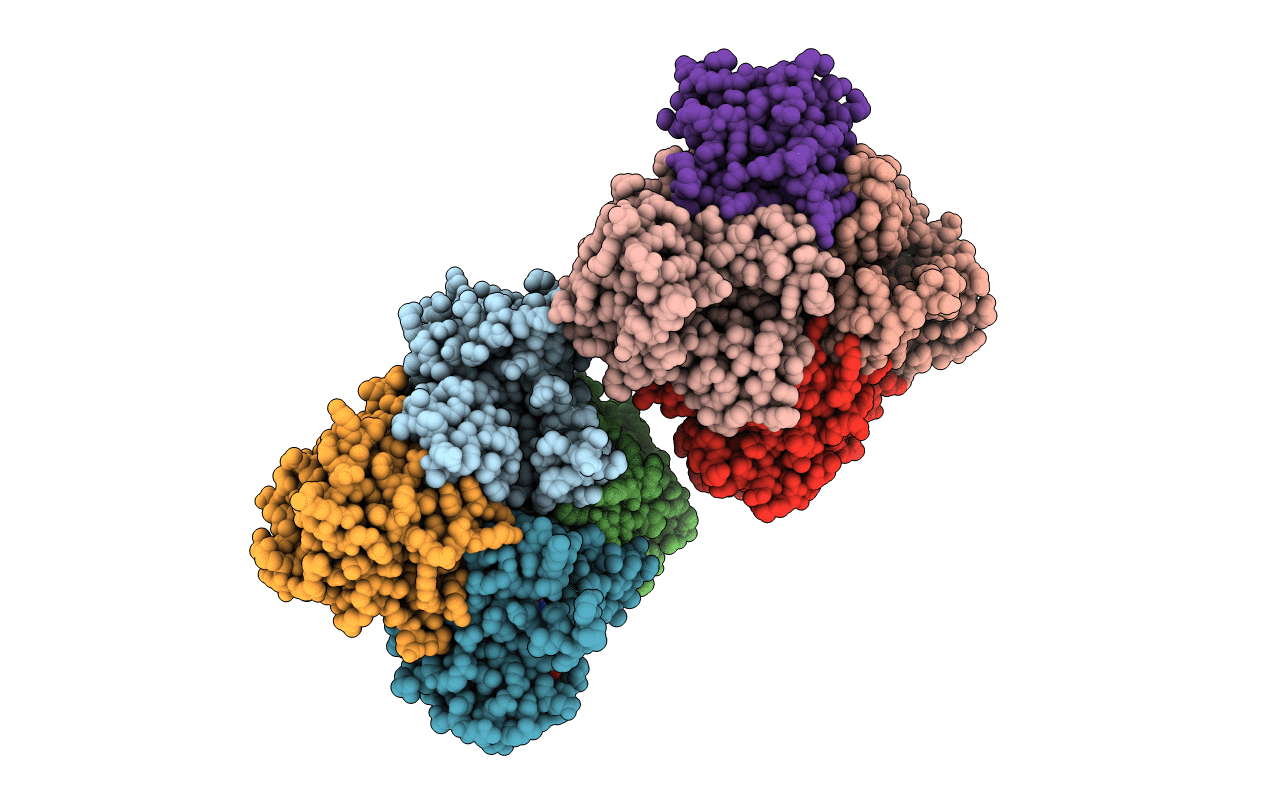 5TII image