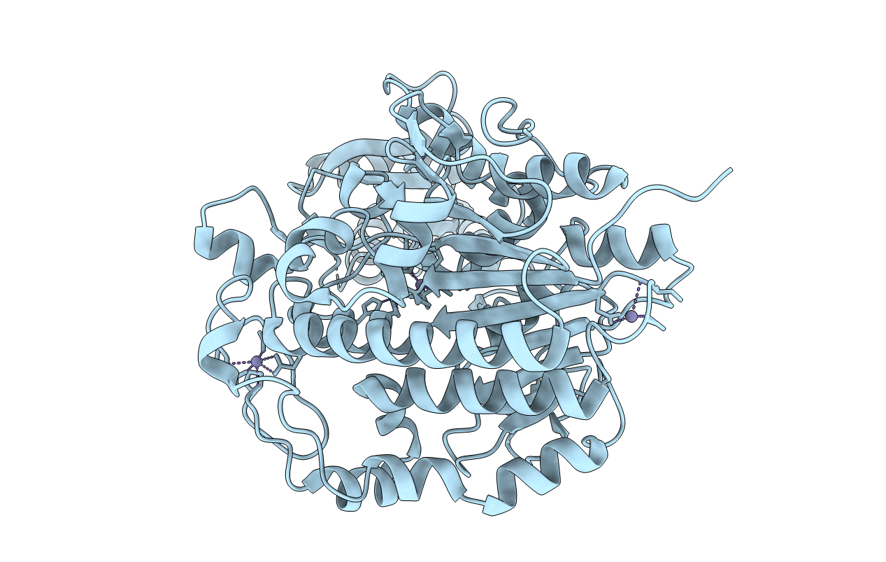 5TJ3 image