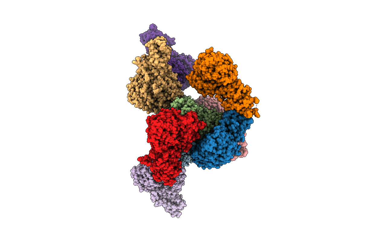 5TJ4 image