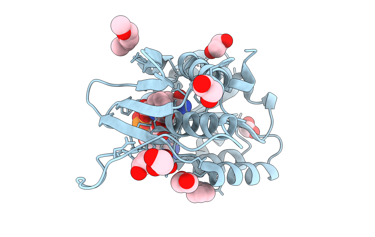 5TJY image