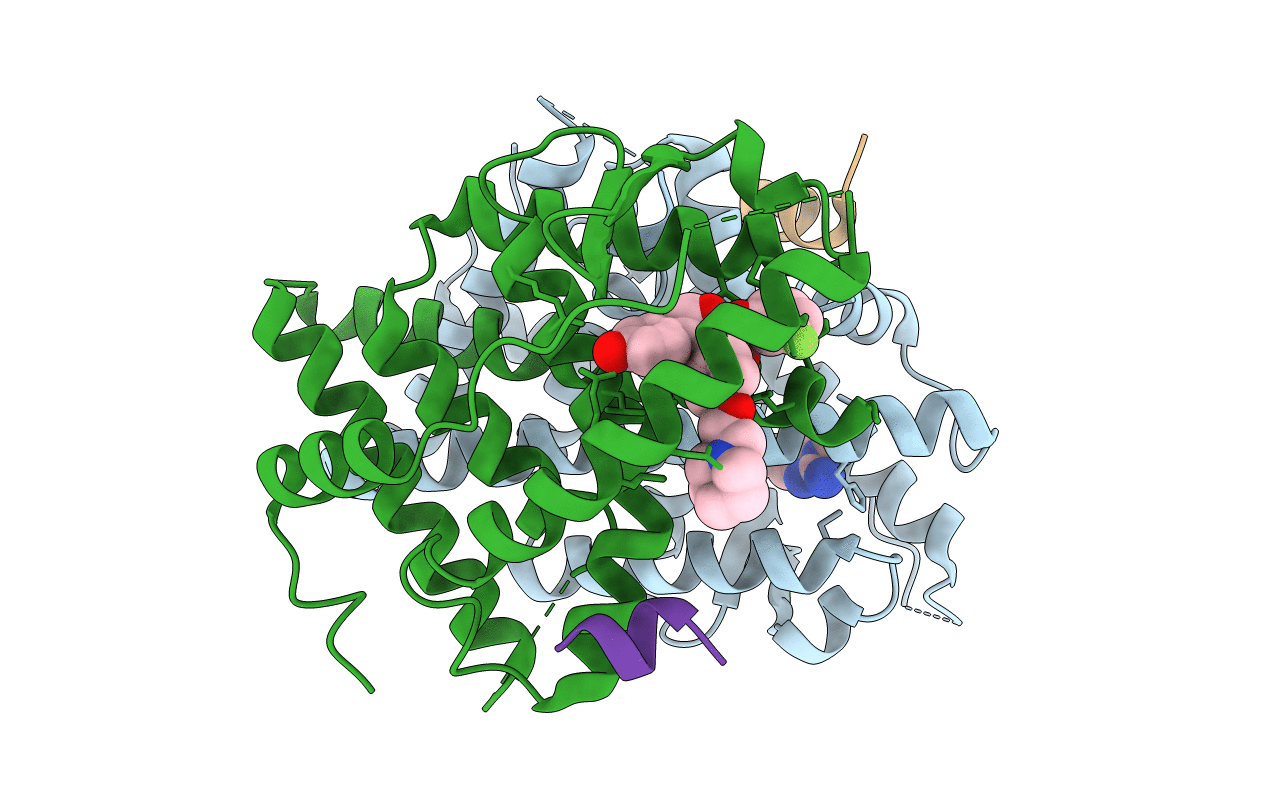 5TLP image