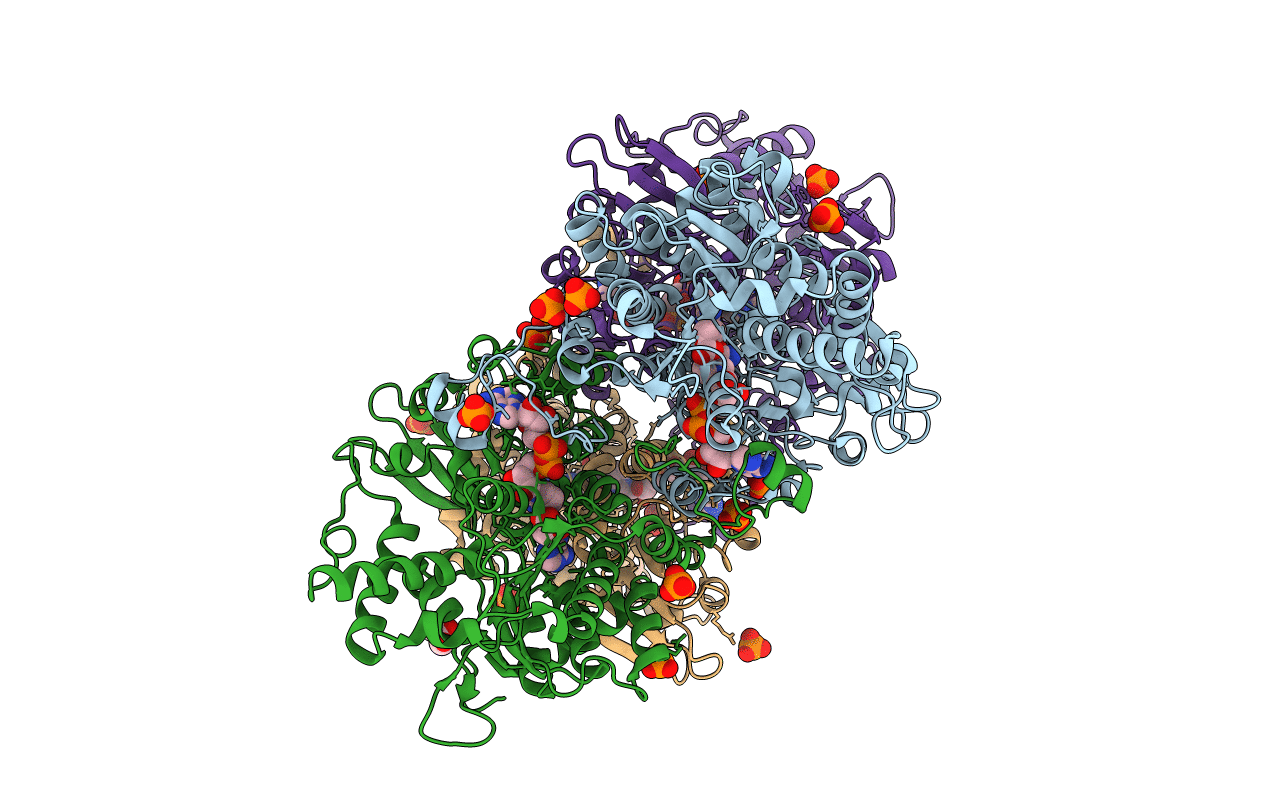 5TLS image