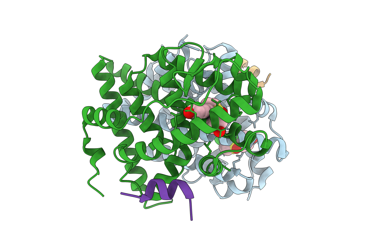 5TM3 image