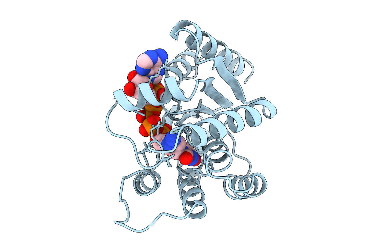 5TMP image
