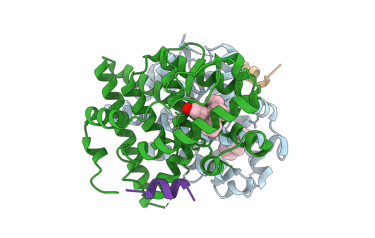 5TMS image