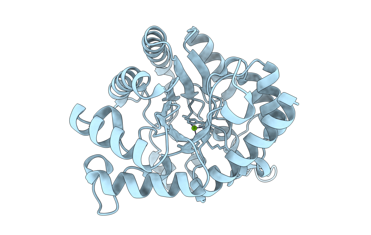 5TNV image