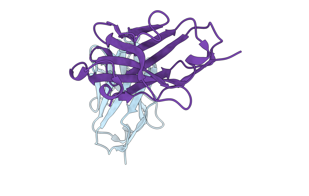 5TP3 image