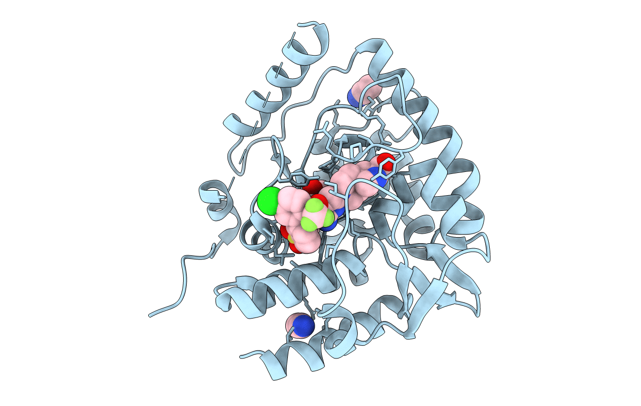 5TPG image