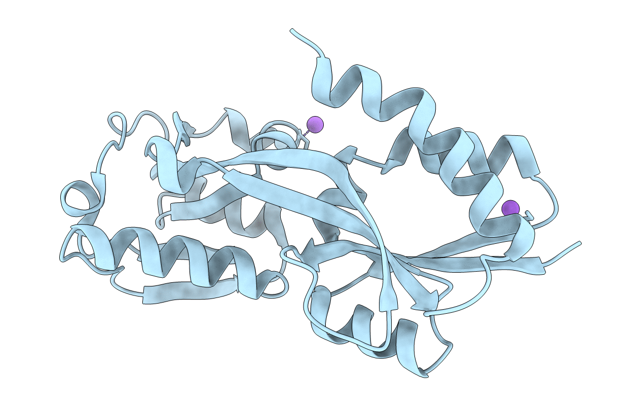 5TPI image