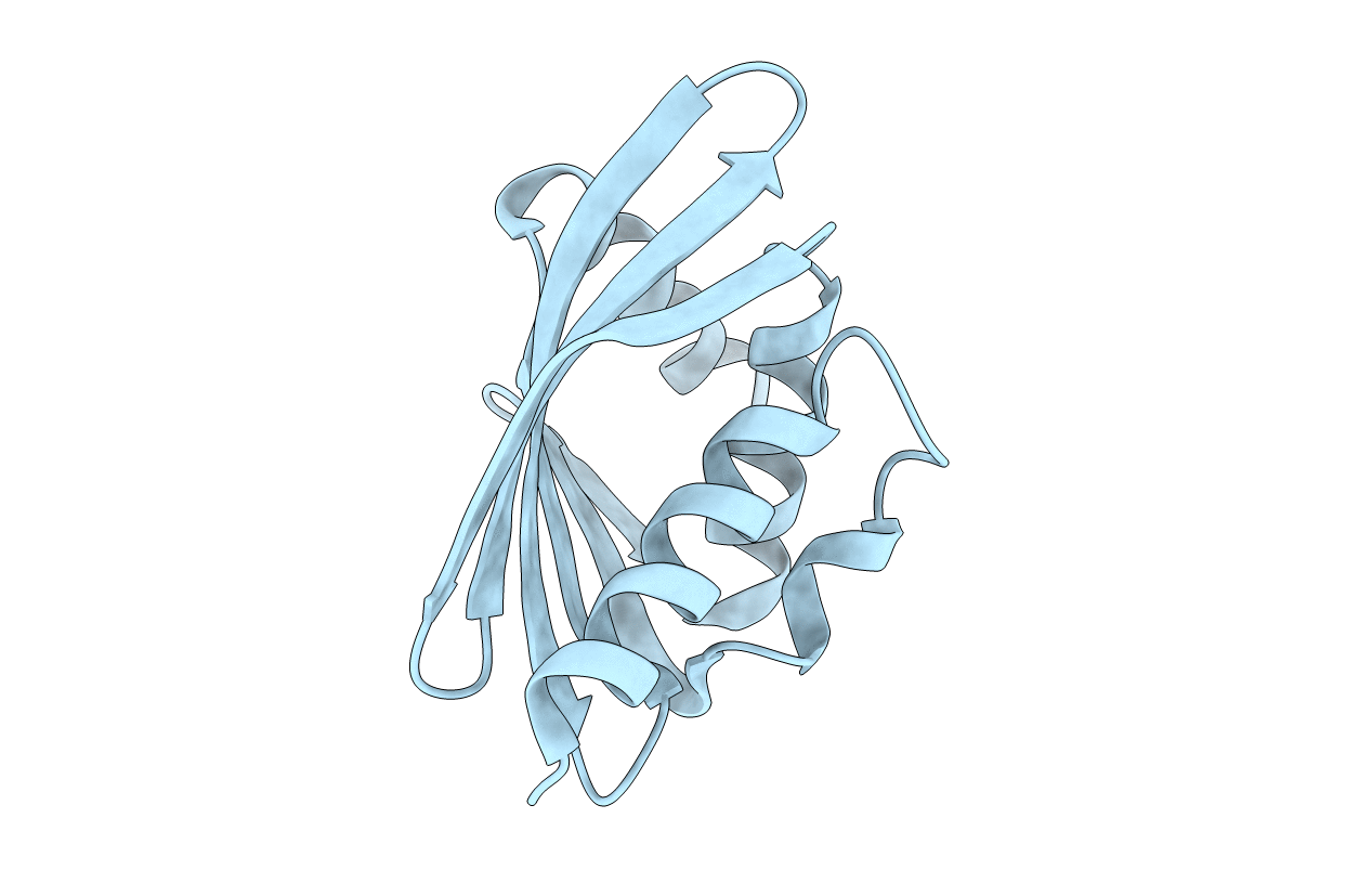 5TPJ image