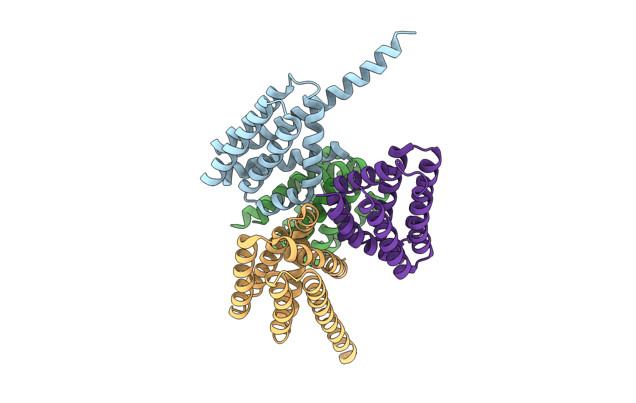 5TPM image