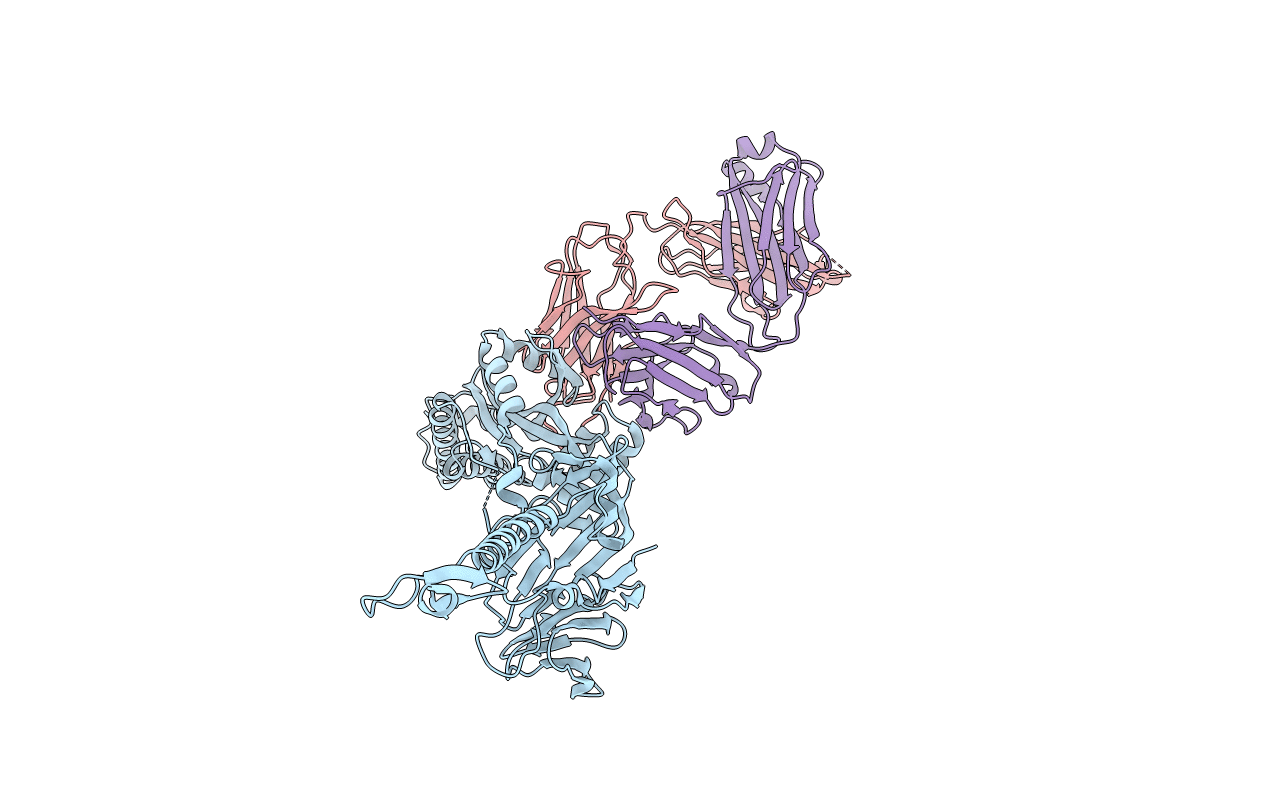 5TPN image